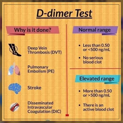 d dimer blood test bottle|d dimer test explained nhs.